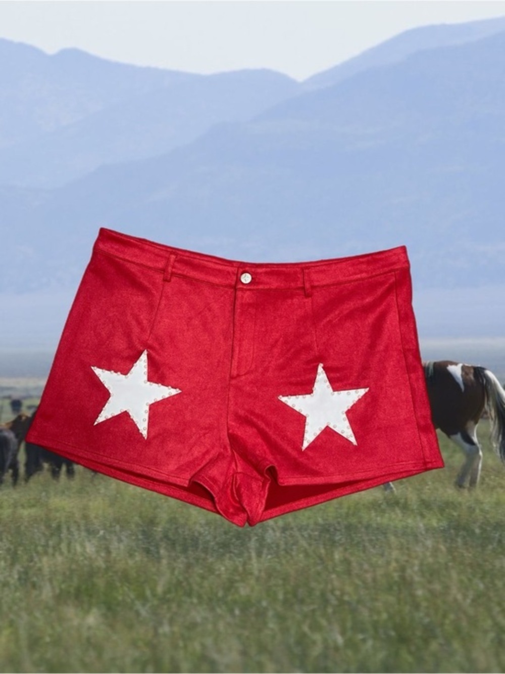 NWOT - Madeline Star Suede Western-Style Shorts